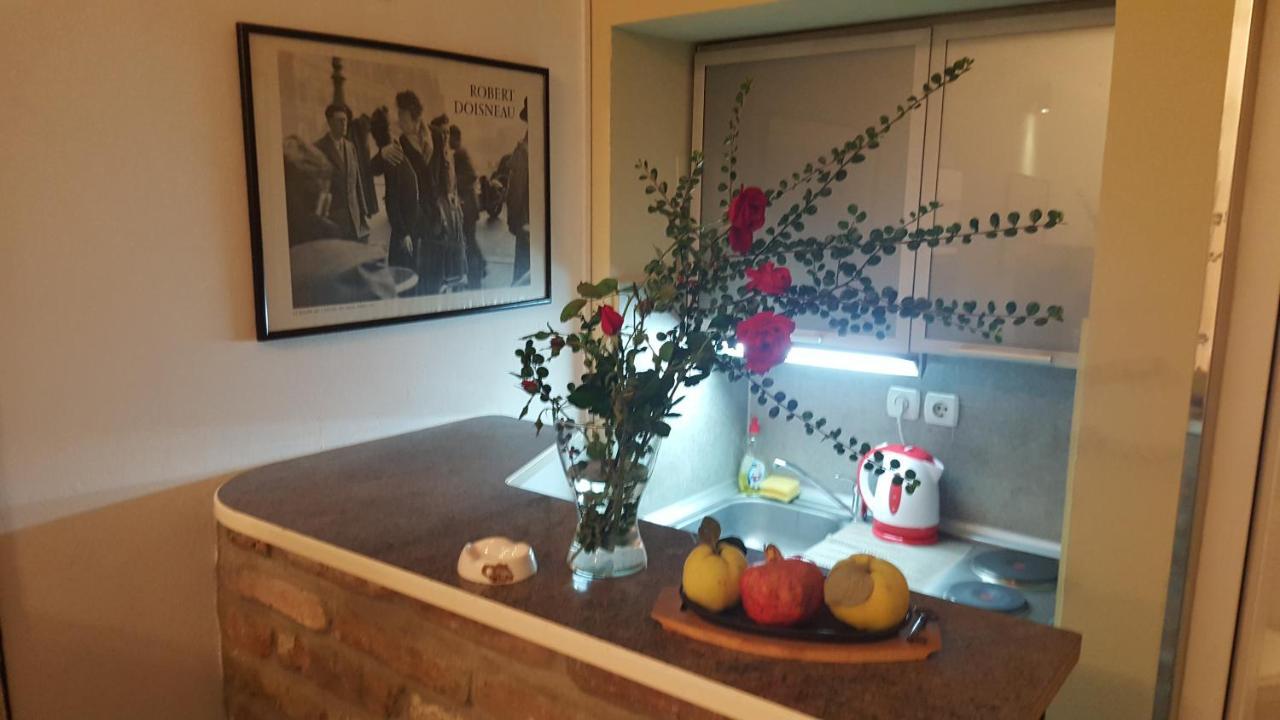 Green Point Apartments Dusanovac エクステリア 写真